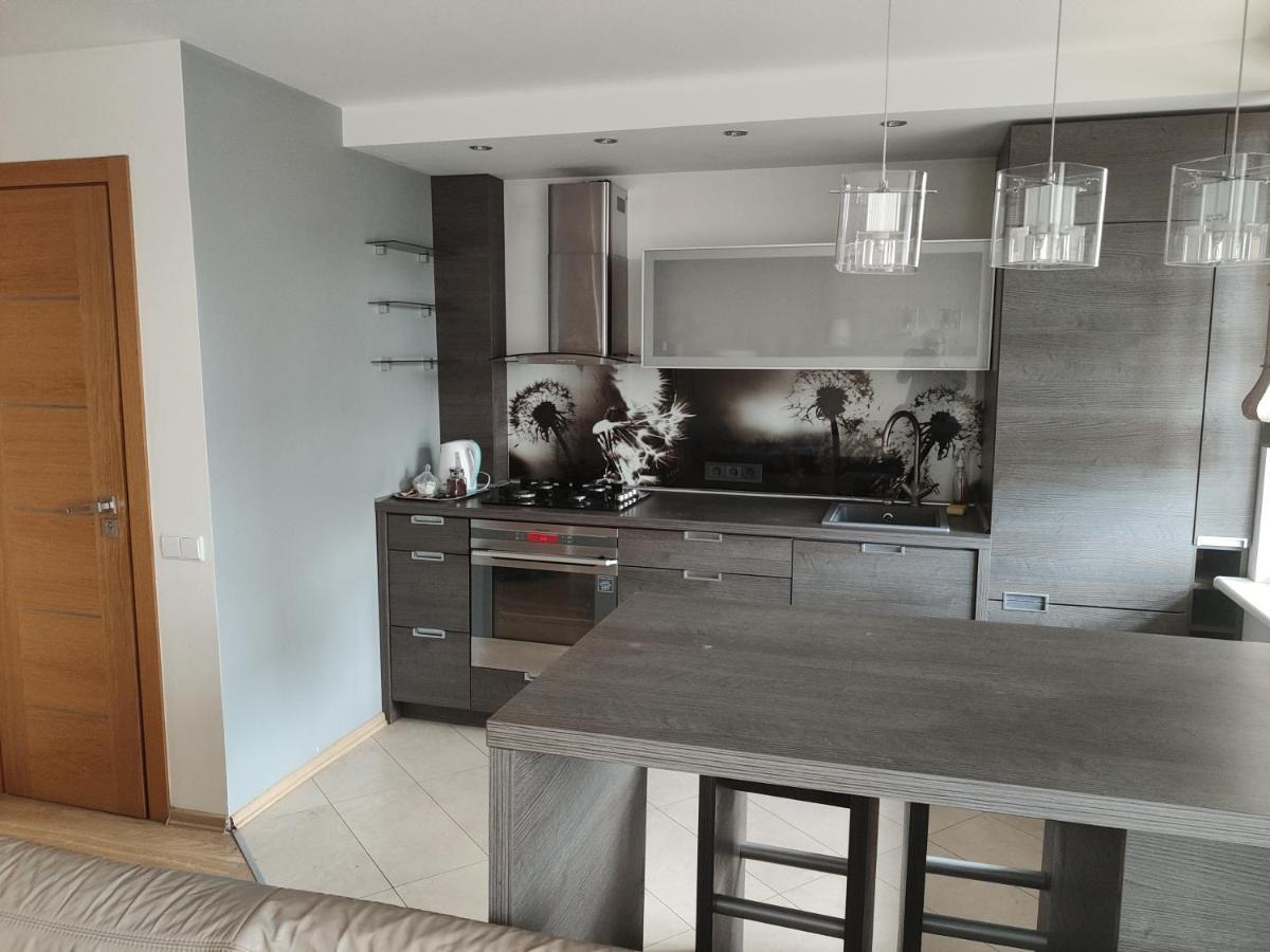 Nikoletos Apartamentai Panevėžys Екстериор снимка
